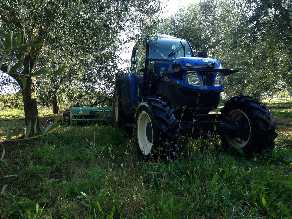 Borghetto  Fattoria Luccianoヴィラ エクステリア 写真