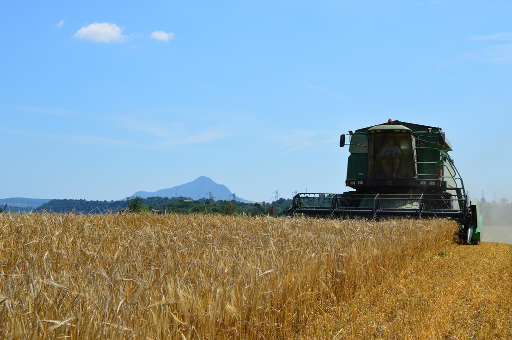 Borghetto  Fattoria Luccianoヴィラ エクステリア 写真