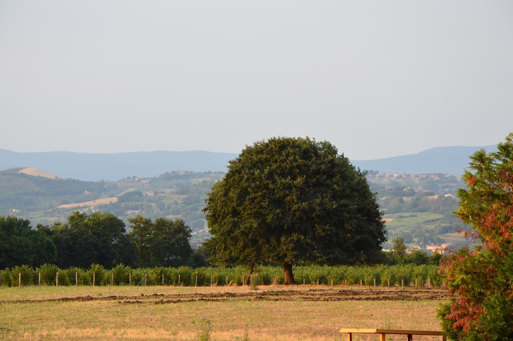 Borghetto  Fattoria Luccianoヴィラ 部屋 写真