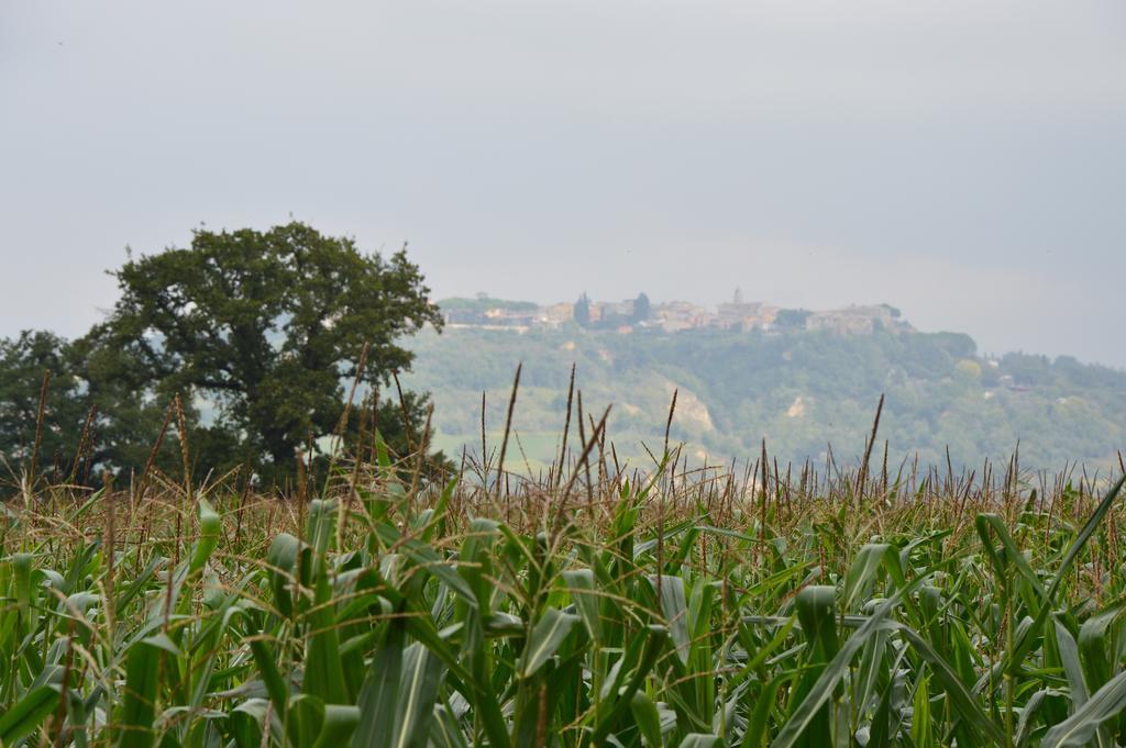 Borghetto  Fattoria Luccianoヴィラ エクステリア 写真