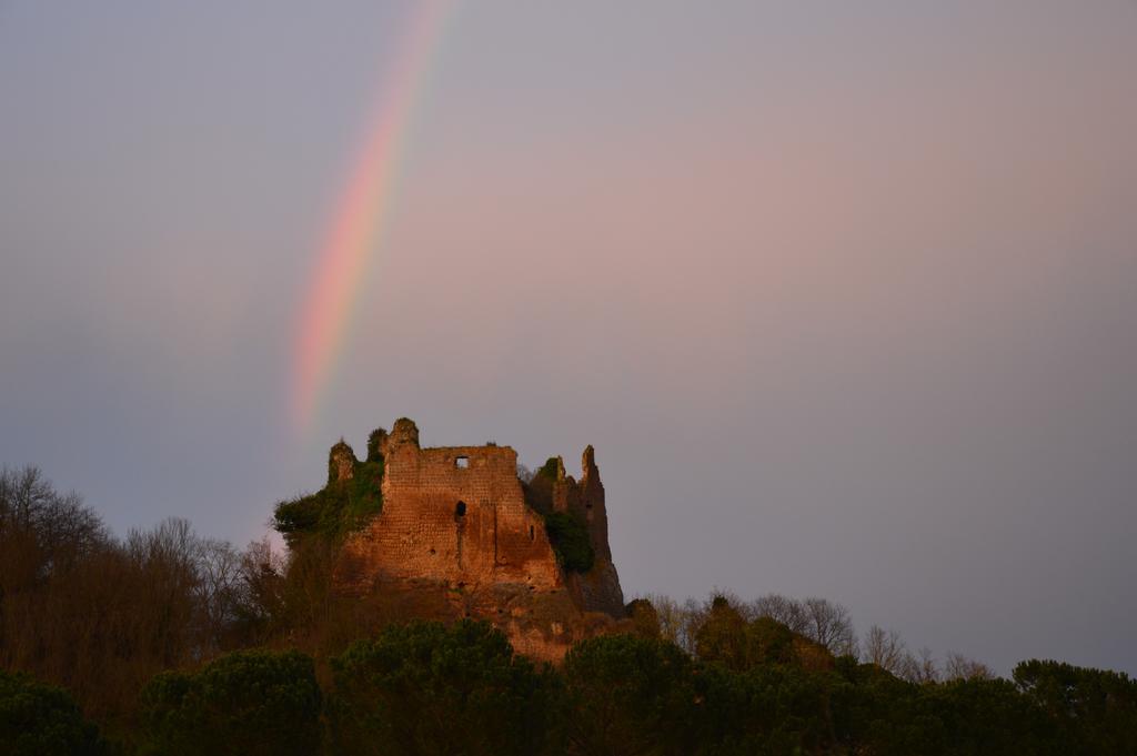 Borghetto  Fattoria Luccianoヴィラ エクステリア 写真